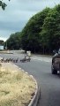 Family of geese crossing busy Milton Keynes road
