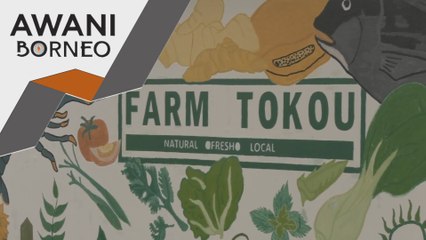 Penggunaan IoT | Pantau ladang ternakan dari hujung jari