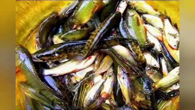 এই ছবি গুলি দেখলে আপনার শৈশবের কথা মনে পড়ে যাবে old picture 2021