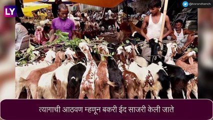Bakri Eid 2022: बकरी ईदची तारीख आणि महत्व, जाणून घ्या
