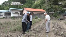 84세 농부 남편의 제피나무 농사! 자녀들의 반응은?