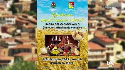 Il notiziario di Tgs edizione dell'8 luglio - ore 13.50