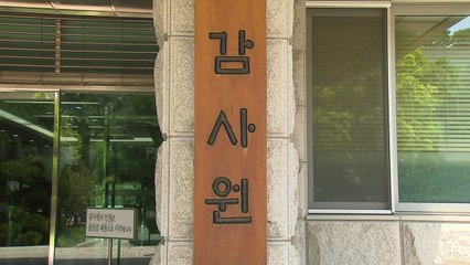 감사원 1급 간부 줄 퇴직...정권 초 '물갈이' 본격화 / YTN