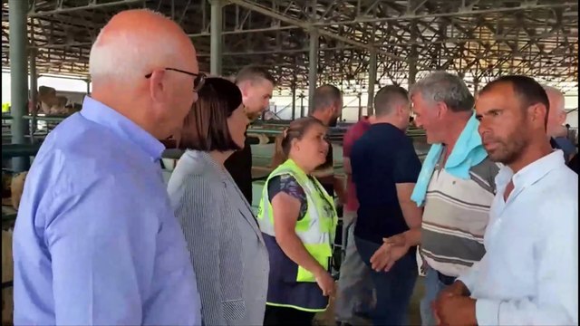 CHP’li vekiller Eskişehir hayvan pazarında hayvan üreticilerini dinledi: “Artık gücümüz kalmadı, hayvancılığı bırakacağız!”