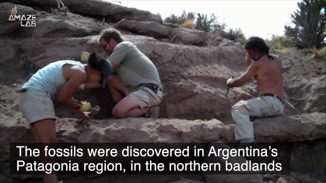 Tiny-Armed Dinosaur Bigger Than T-Rex Unearthed in Argentina