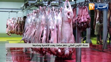 الكيس المائي ..  خطر صامت يهدد الأضحية وصاحبها