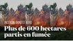 Un méga-feu ravage plus de 620 hectares du massif des Cévennes, dans le Gard