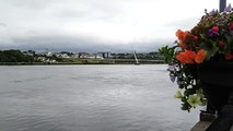 Derry in bloom by the Peace Bridge
