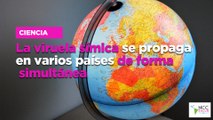 La viruela símica se propaga en varios países de forma simultánea