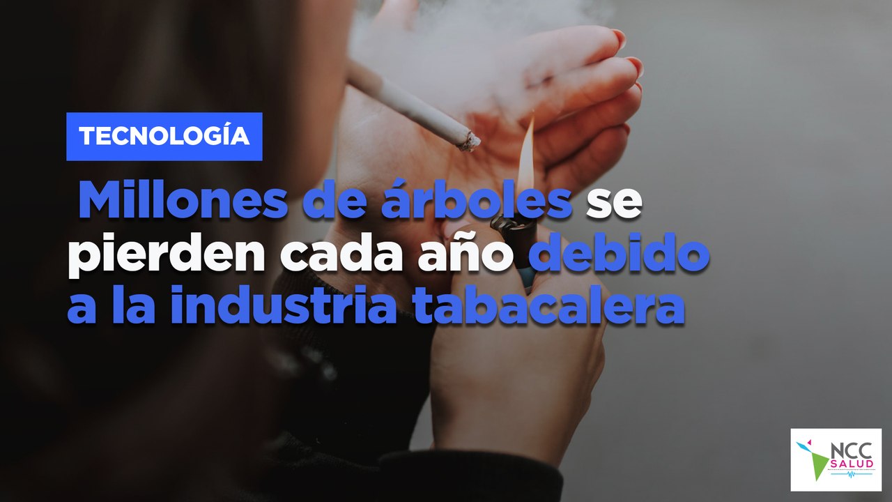 Millones de árboles se pierden cada año debido a la industria tabacalera