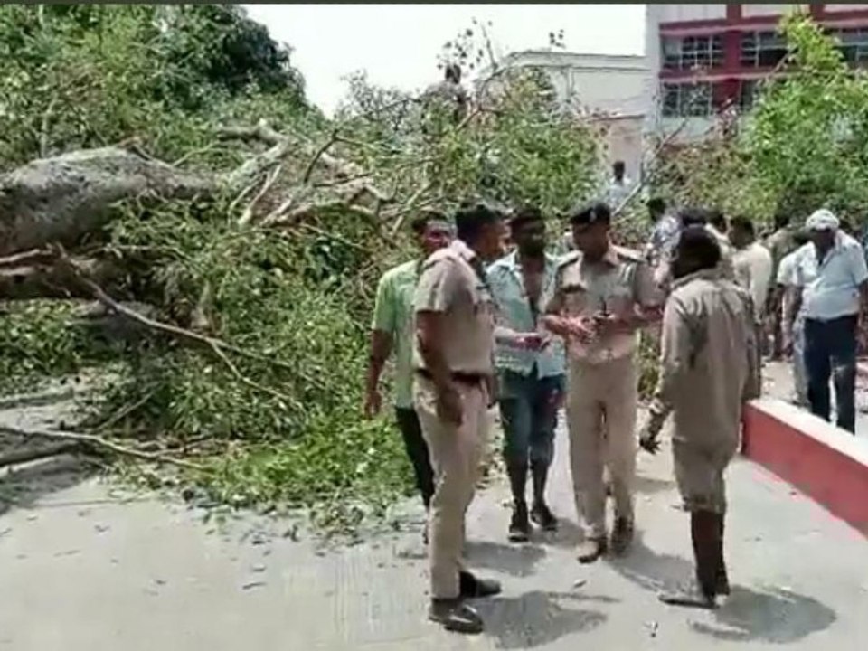 Chandigarh Incident : स्कूल में हुआ हादसा...पेड...