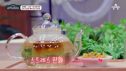 개그맨 12호 부부 강재준♥이은형, 이들이 금쪽 상담소 찾은 이유는?