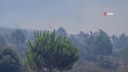 Bodrum'da makilik alanda yangın çıktı