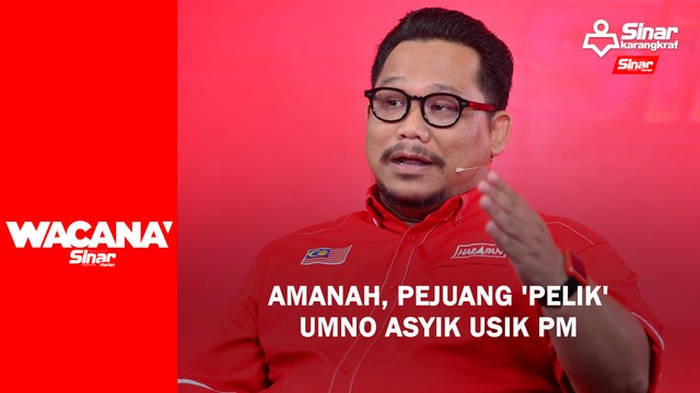 Amanah, Pejuang 'pelik' UMNO asyik usik PM