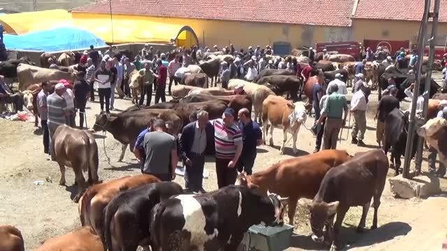 İç Anadolu'daki hayvan pazarlarında yoğunluk yaşanıyor