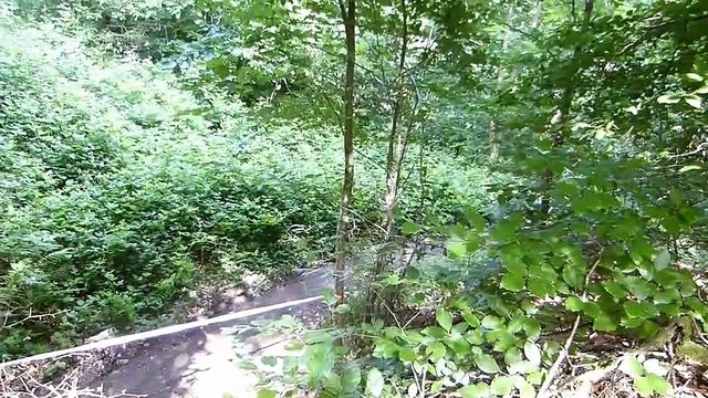 Enduro de la Semoy 2022 - Rumsteak