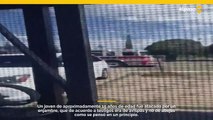 Enjambre de avispas atacan  a joven Paseño