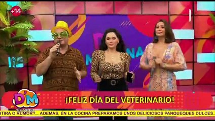 Conozca los beneficios de tener una mascota