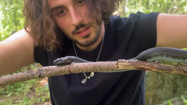 «Les gens en ont souvent peur alors on casse les préjugés et les tabous» : Solal et Valentin dénichent les serpents pour montrer leur côté inoffensif