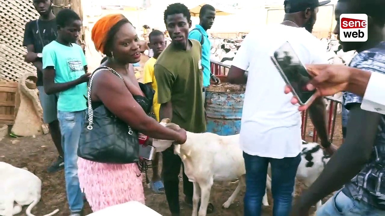 L’incroyable surprise de Wally Balago Seck à l’animatrice de Seneweb Nabou Ngom presqu’en larme