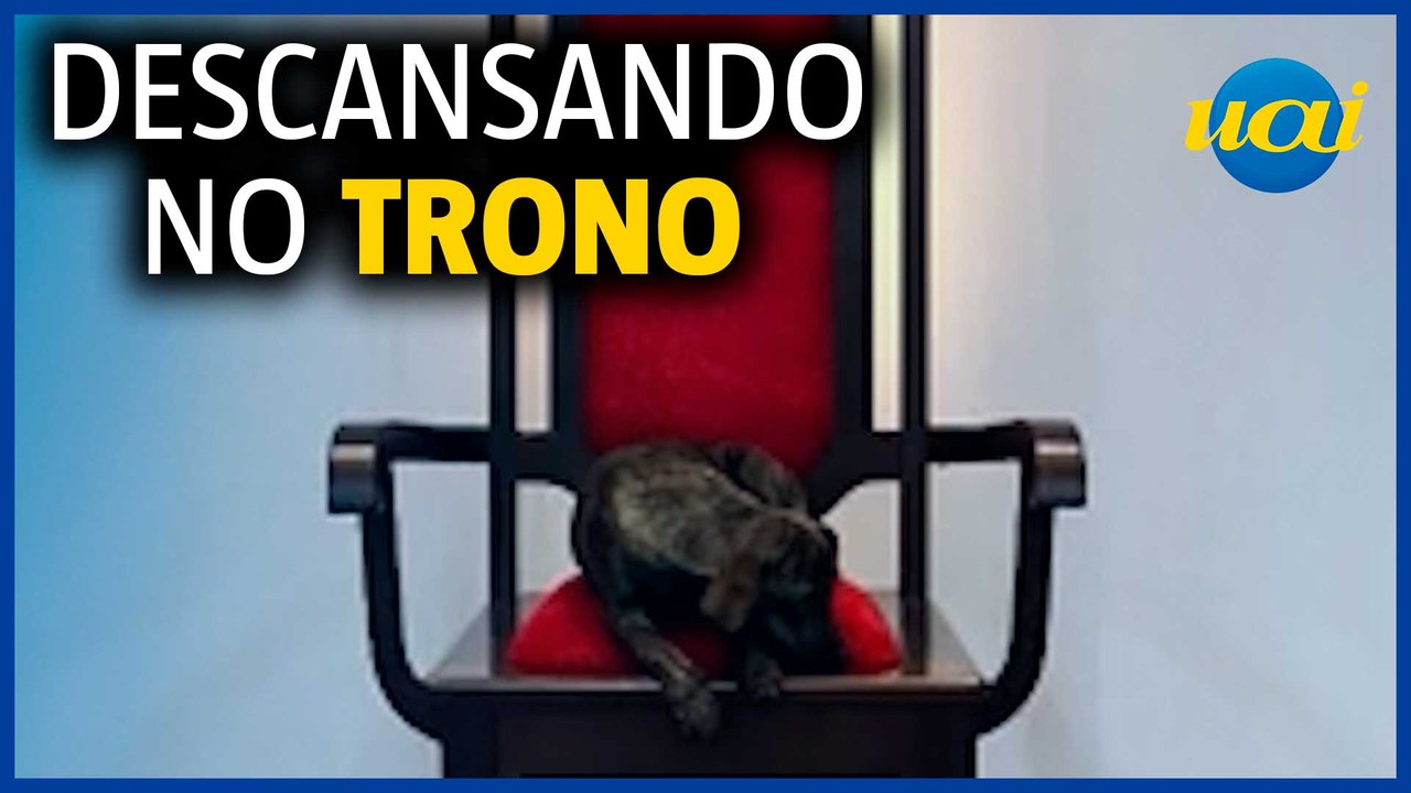 Cachorro rouba lugar do padre em Minas e viraliza