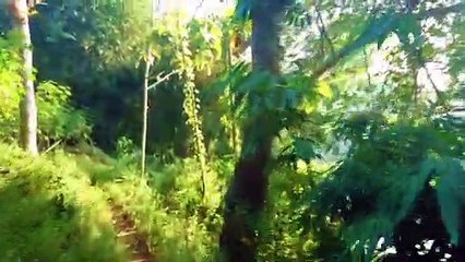 Lokasi mancing ikan liar di bendungan