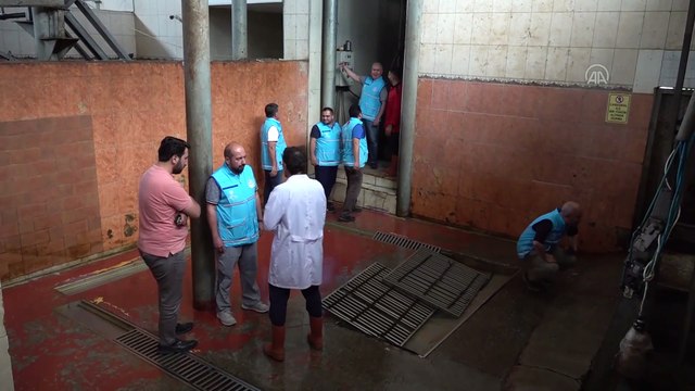 TDV, Van'da kesilecek 1500 kurbanın etini ihtiyaç sahiplerine ulaştıracak