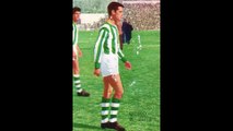 STICKERS FHER SPANISH CHAMPIONSHIP 1966 (REAL BETIS FOOTBALL TEAM)