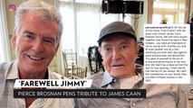 Pierce Brosnan Shares Photos of James Caan from Set of Late Actor's Final Film: 'You Were an Inspiration'