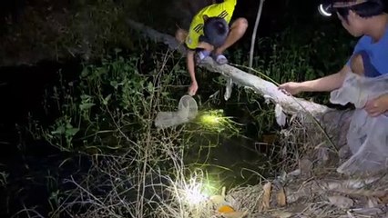 NHÀ ĐẤT CHÍNH CHỦ | THĂM CÂU CÁ LÓC TRONG VƯỜN SẦU RIÊNG