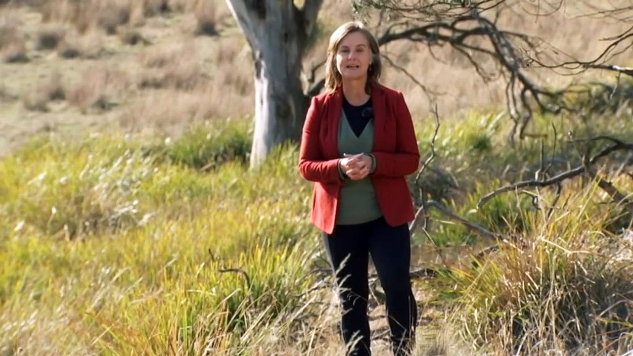 Cultural sites on Tas farm open to Indigenous groups