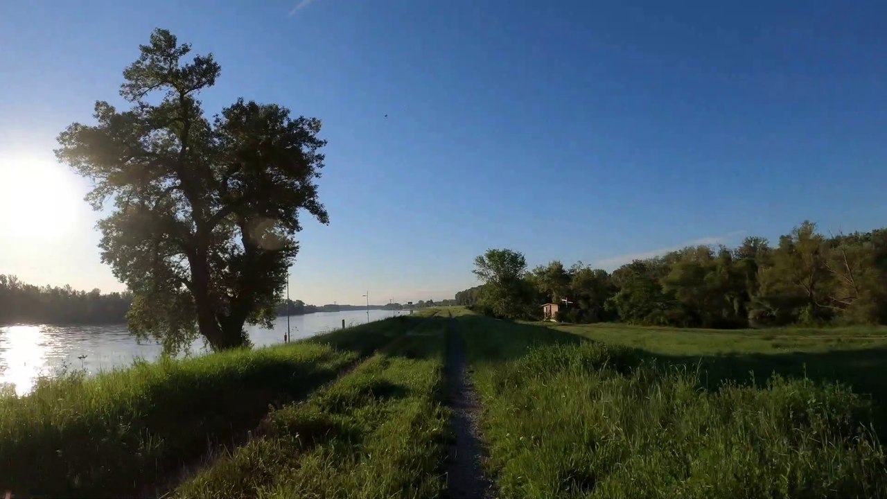 Wien am Rad: Am Praterspitz frühmorgens