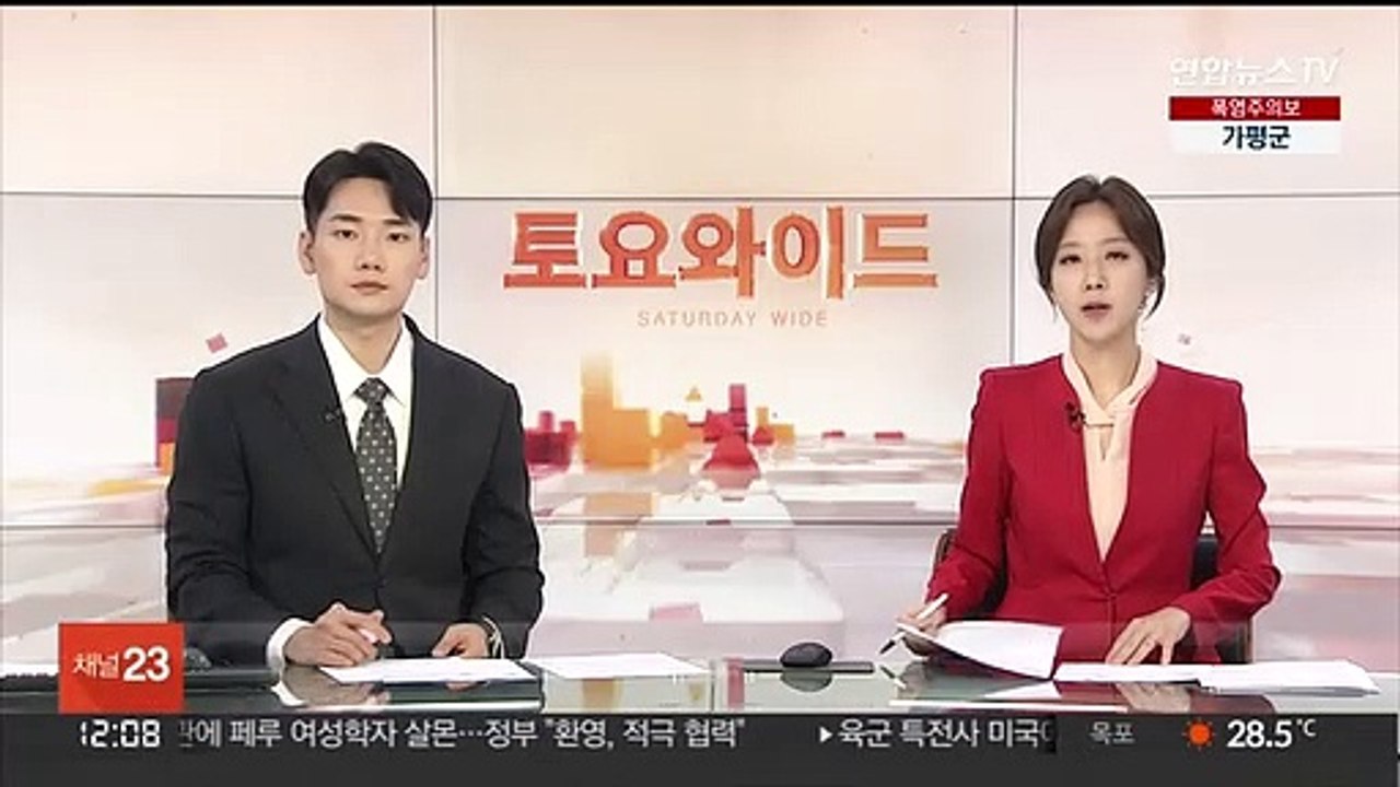 아마존 열대우림 파괴 '역대 최대'…상반기 서울 6.6배 사라져