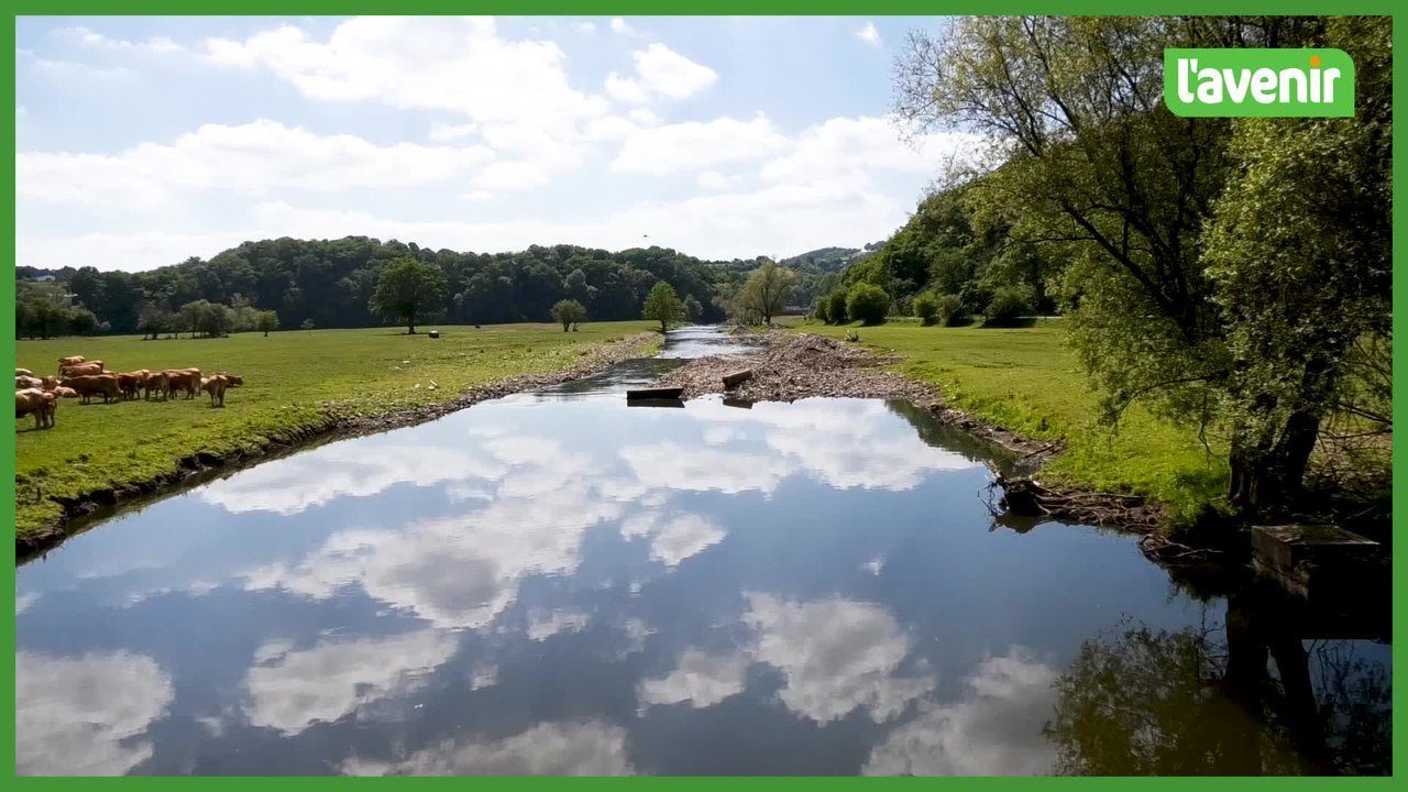 WEBDOC - Les inondations, un an après : Philippe Voss, l'agriculteur de Limbourg
