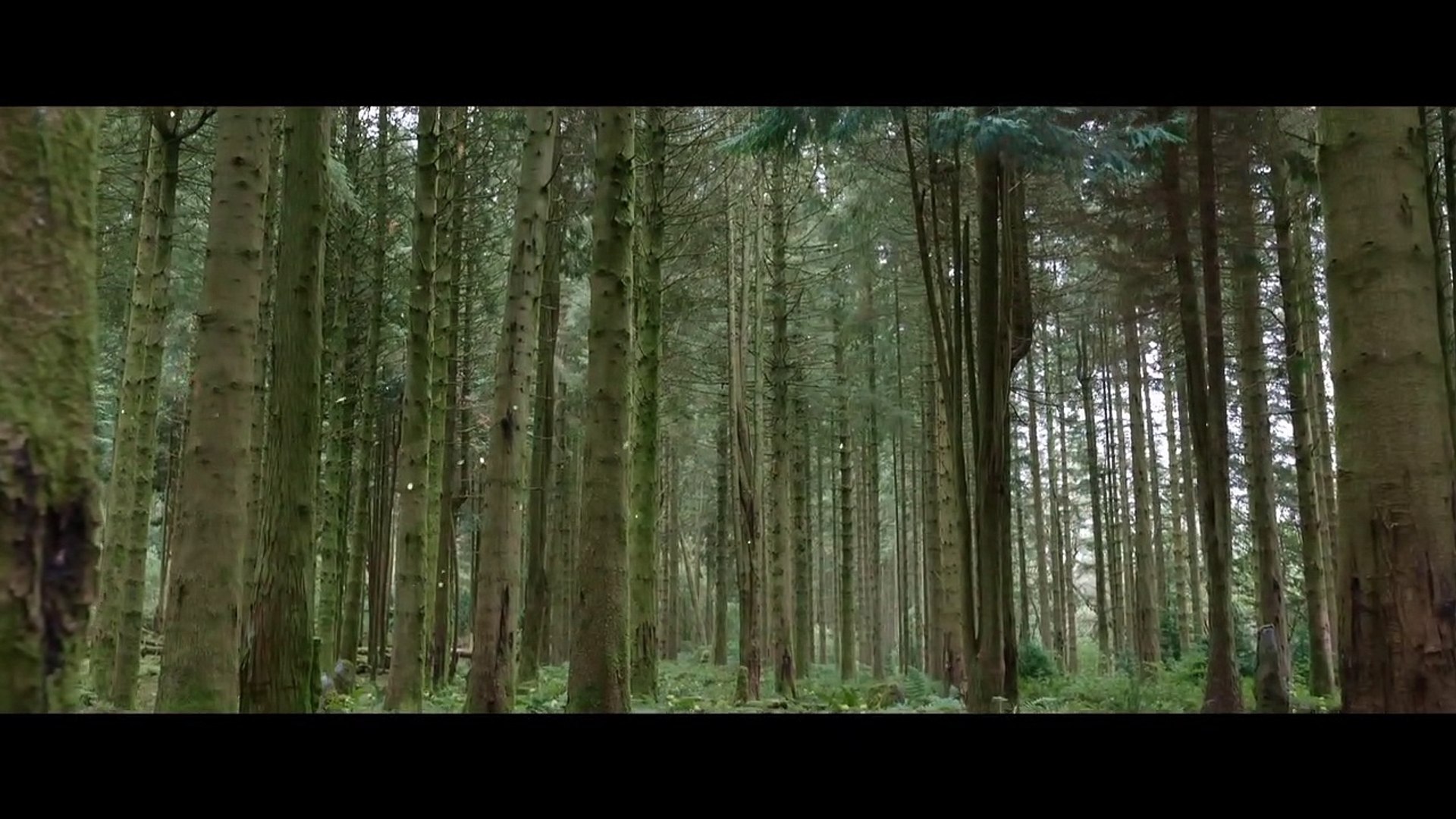 ⁣THE TEASER FOR THE MOVIE (WILLOW), RELEASED IN (1988 )