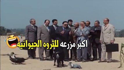 المزرعه تبع هنداوي جروب لفلي معزه و اديها هديه للباشا علشان الاولاد | هتموت ضحك من الزعيم