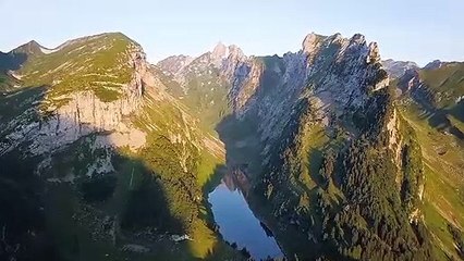 Listen to the wind and wait for the flowers to bloom