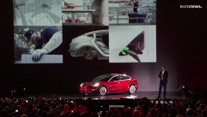 "Compro, anzi non compro più": Musk rinuncia a Twitter