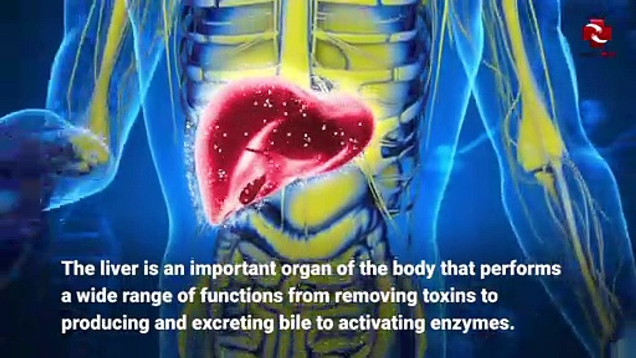 9 Simple Steps to Cleanse Your Liver Within 2 Weeks