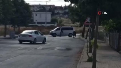 Silivri'de sahibinin elinden kaçan kurbanlık zor anlar yaşattı
