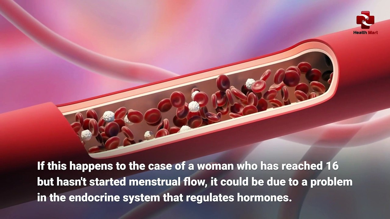 Menstrual Disorder Signs You Should Know