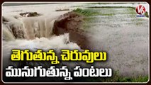Heavy Rains Damage Ponds, Crops _ Nizamabad | V6 News