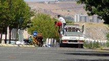 Şanlıurfa'da kaçan kurbanlıklar trafikte zor anlar yaşattı