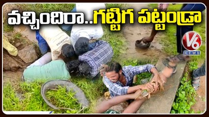 Rains In Kodad | Villagers Catching Fish in Crops Field | V6 News