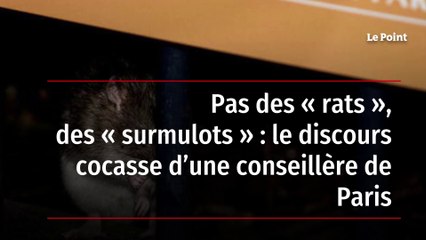 Pas des « rats », des « surmulots » : le discours cocasse d’une conseillère de Paris
