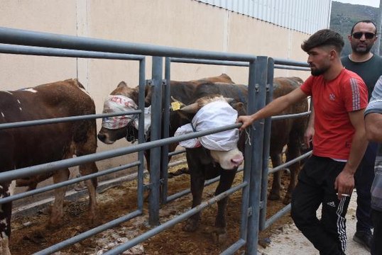 İZMİR'DE KURBAN KESİM YERLERİNDE YOĞUNLUK