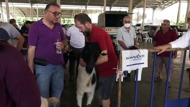 Konyaaltı'nda Ücretsiz Kurban Kesim Hizmeti