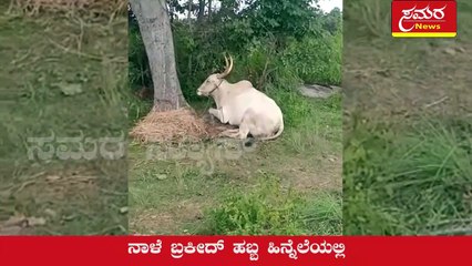 ಗೋ ಹತ್ಯೆ ಮಾಡುತ್ತಿದ್ದ ಮೂವರ ಬಂಧನ Arrest of three people were killing cows
