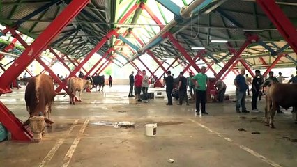 Osmangazi’de kurban sevinci