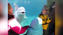 Videos De Risa 2022 nuevos ● Videos Graciosos Niños - Tiburón Bebé Turu Turu jugando con pescado #3